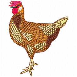 Chickens And Roosters Embroidery Design 11 Chickens And Roosters Embroidery Design 11
